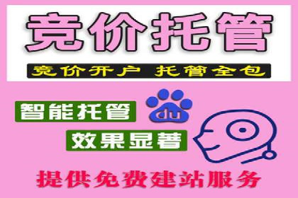 深度剖析SEM代运营公司成功案例